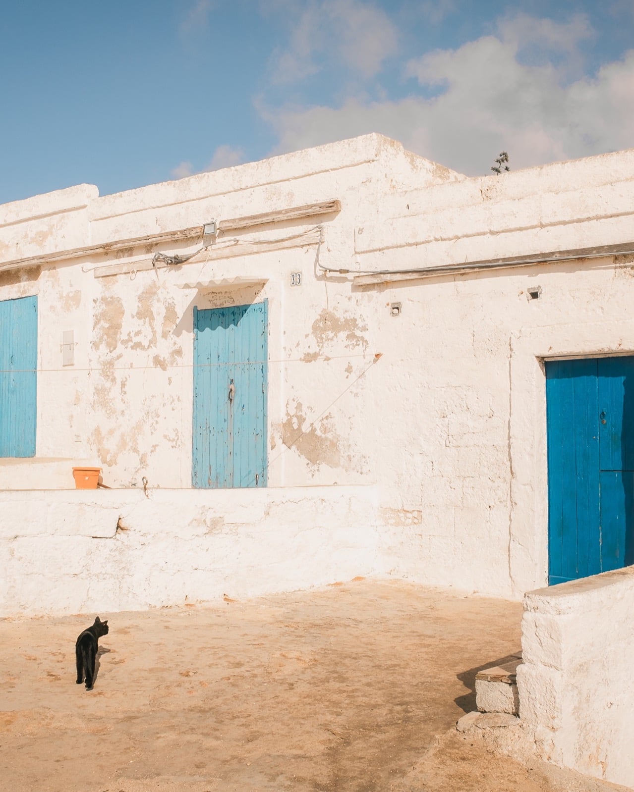 A black cat in a sunlit whitewashed courtyard with blue doors