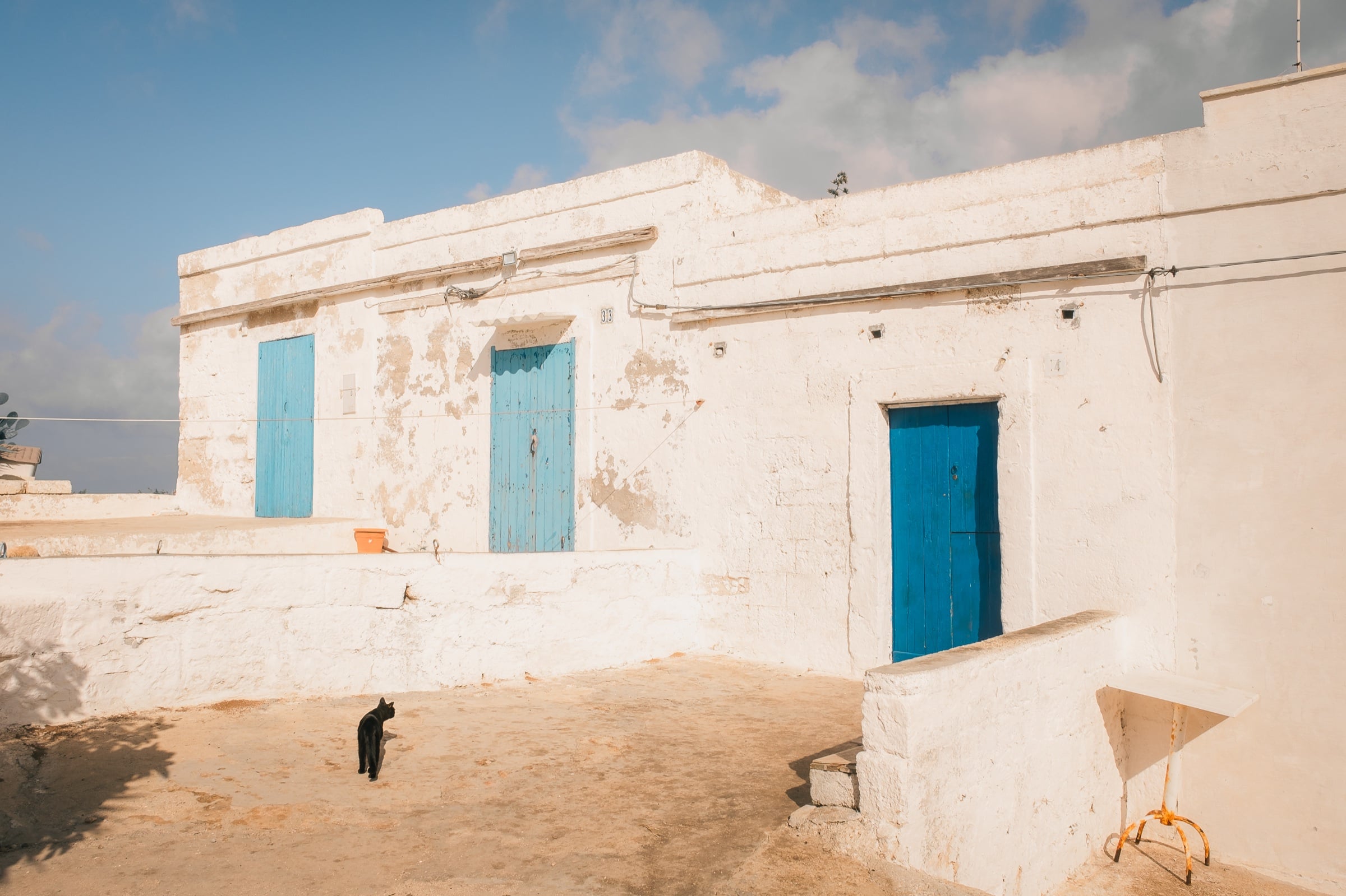 A black cat in a sunlit whitewashed courtyard with blue doors